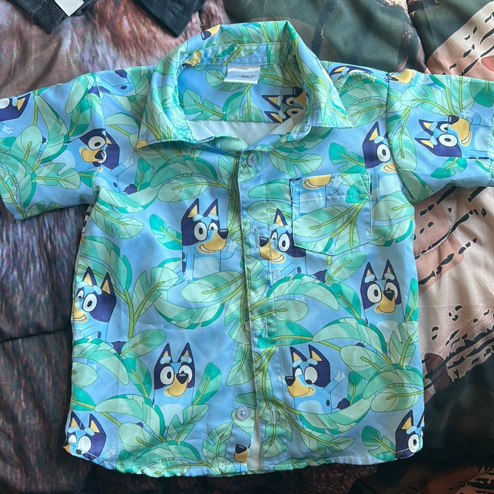 Silk 2T Bluey shirt
